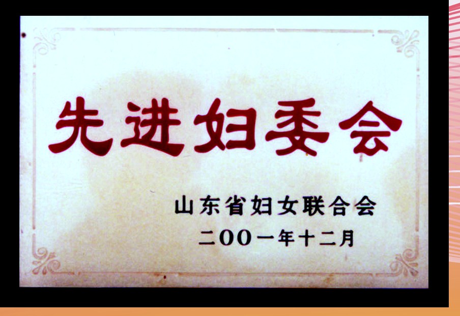 先进妇委会