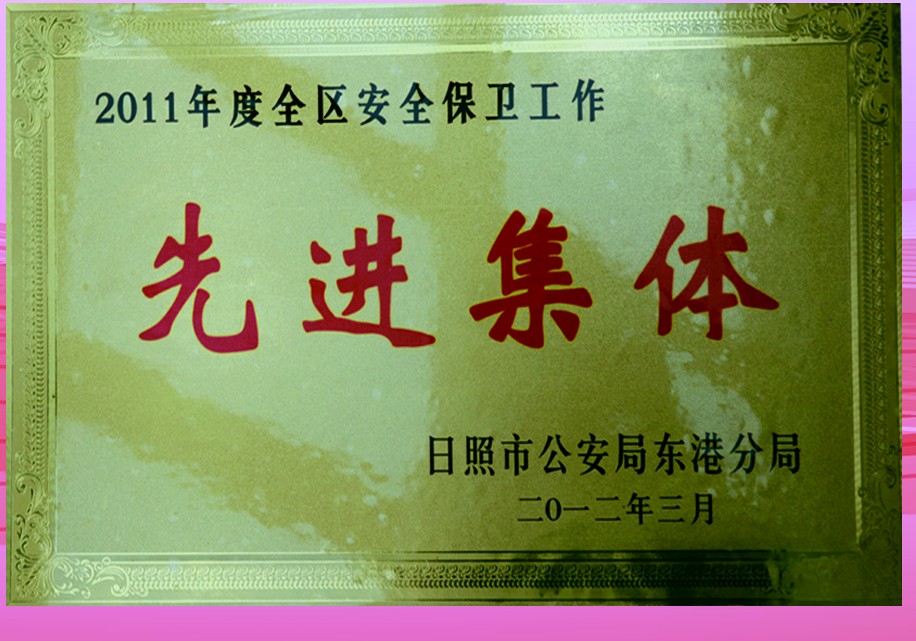 全区安全保卫工作先进集体